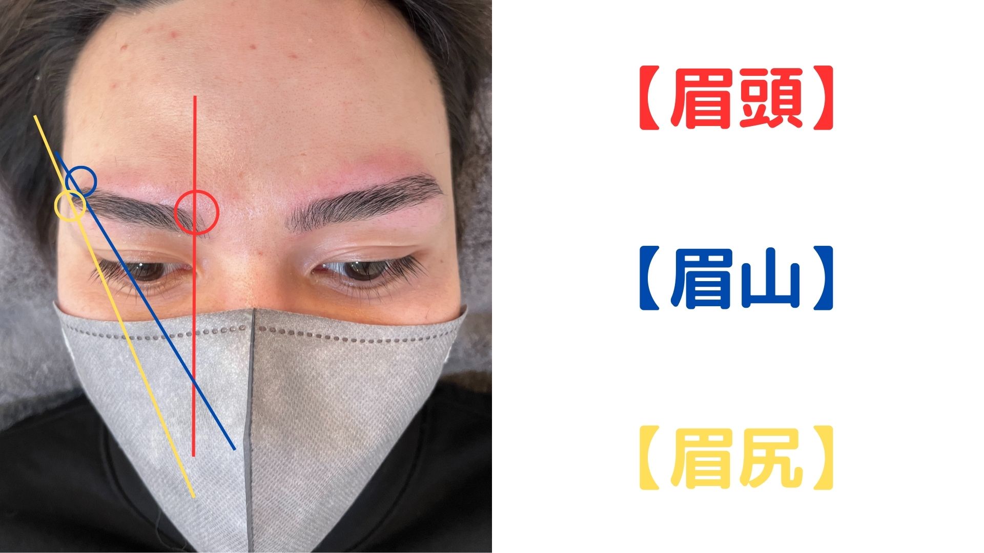 眉毛の相談所 by mayuyama男性の眉毛の黄金比の画像